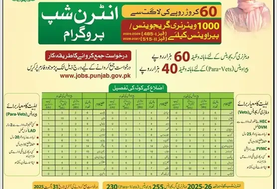 🌟 CM Punjab Internship 2025 – Apply Now & Kickstart Your Career | Join Now